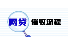 楚雄要账公司更多成功案例详情